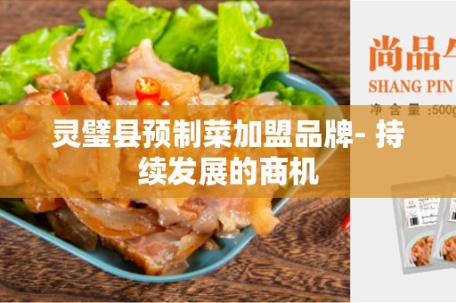 灵璧县预制菜加盟品牌- 持续发展的商机