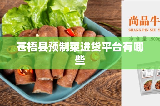 苍梧县预制菜进货平台有哪些