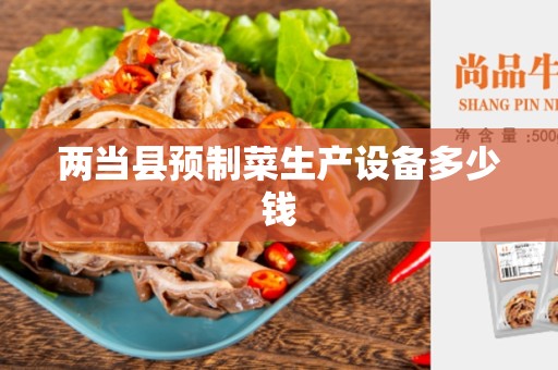 两当县预制菜生产设备多少钱