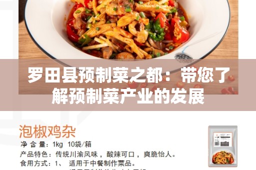 罗田县预制菜之都：带您了解预制菜产业的发展