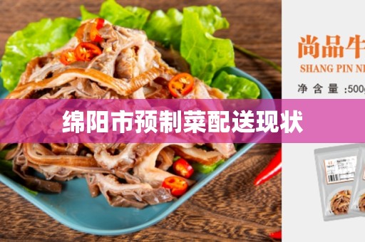 绵阳市预制菜配送现状