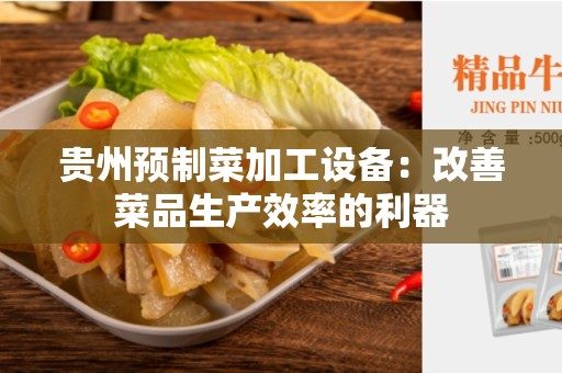 贵州预制菜加工设备：改善菜品生产效率的利器