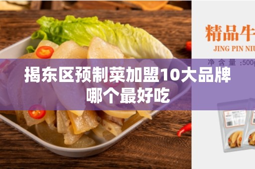 揭东区预制菜加盟10大品牌哪个最好吃