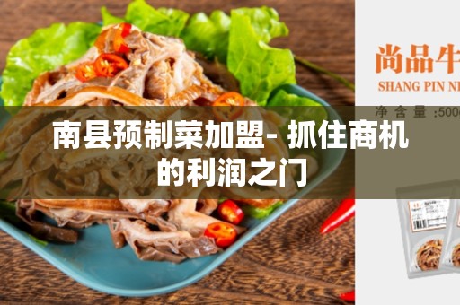 南县预制菜加盟- 抓住商机的利润之门