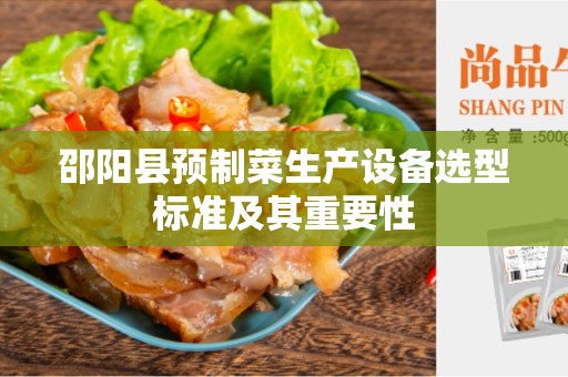 邵阳县预制菜生产设备选型标准及其重要性