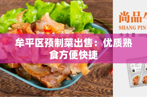 牟平区预制菜出售：优质熟食方便快捷