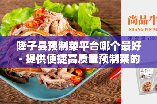 隆子县预制菜平台哪个最好- 提供便捷高质量预制菜的首选平台
