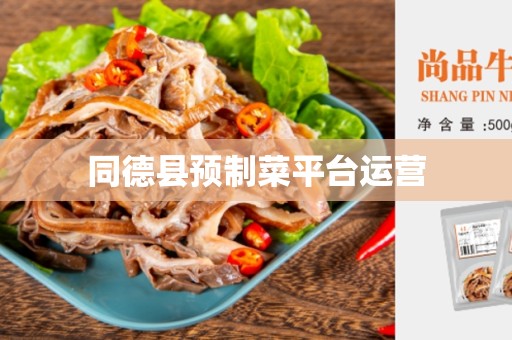同德县预制菜平台运营