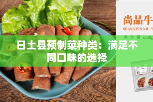 日土县预制菜种类：满足不同口味的选择