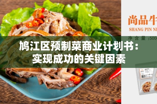 鸠江区预制菜商业计划书：实现成功的关键因素