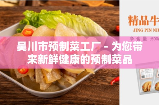 吴川市预制菜工厂 - 为您带来新鲜健康的预制菜品