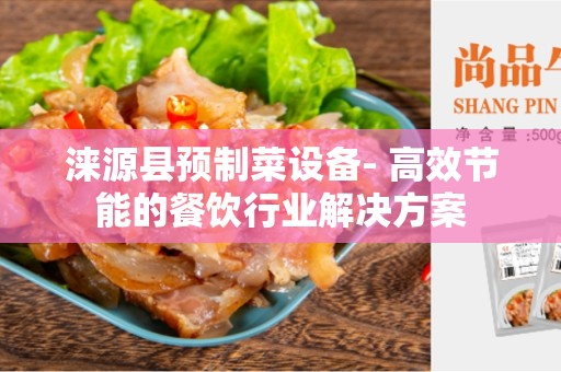 涞源县预制菜设备- 高效节能的餐饮行业解决方案