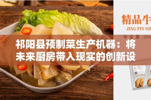 祁阳县预制菜生产机器：将未来厨房带入现实的创新设备