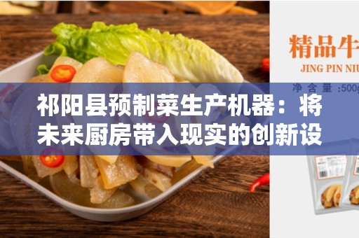 祁阳县预制菜生产机器：将未来厨房带入现实的创新设备