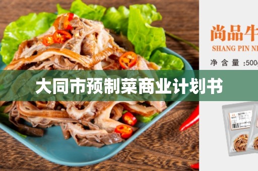 大同市预制菜商业计划书