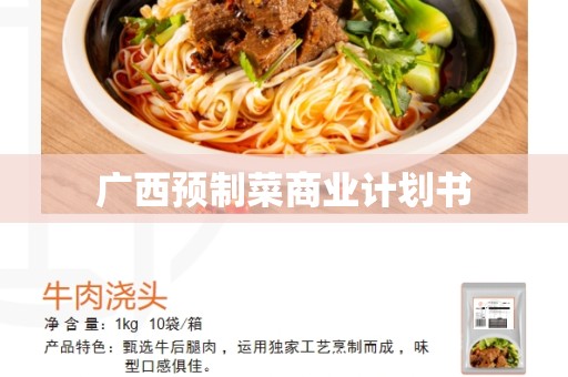 广西预制菜商业计划书