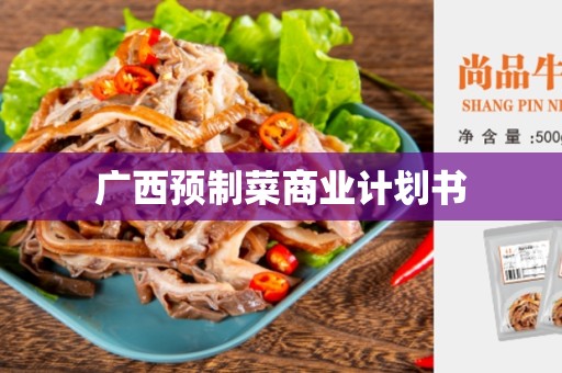 广西预制菜商业计划书