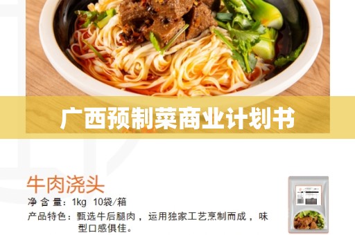 广西预制菜商业计划书