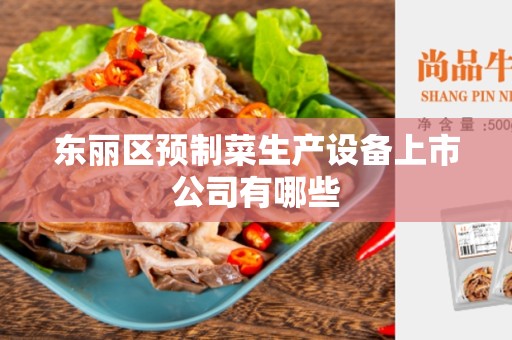 东丽区预制菜生产设备上市公司有哪些