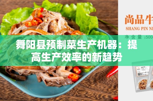 舞阳县预制菜生产机器：提高生产效率的新趋势