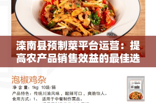 滦南县预制菜平台运营：提高农产品销售效益的最佳选择