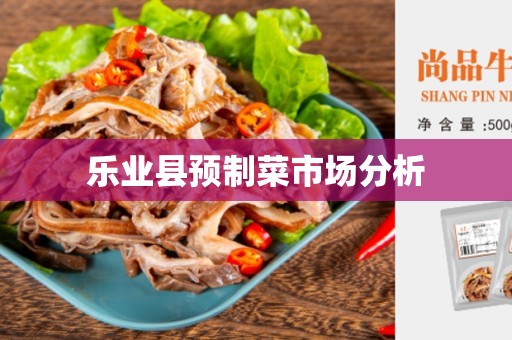 乐业县预制菜市场分析