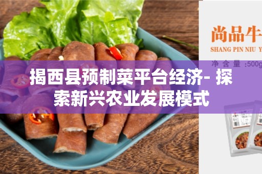 揭西县预制菜平台经济- 探索新兴农业发展模式