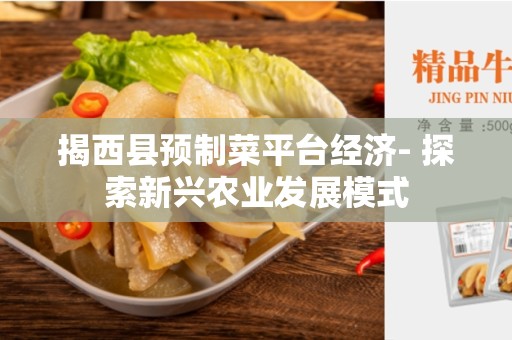 揭西县预制菜平台经济- 探索新兴农业发展模式