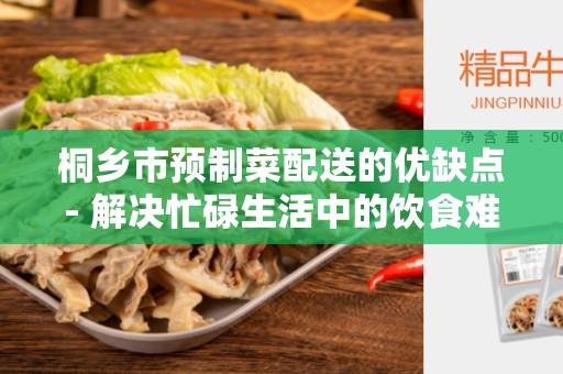 桐乡市预制菜配送的优缺点- 解决忙碌生活中的饮食难题