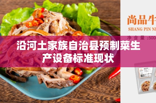 沿河土家族自治县预制菜生产设备标准现状