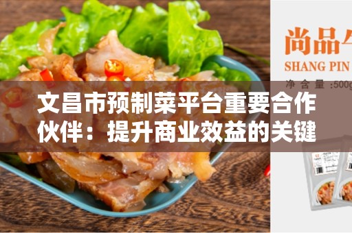 文昌市预制菜平台重要合作伙伴：提升商业效益的关键