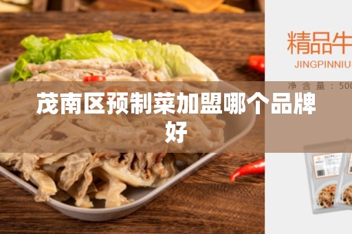 茂南区预制菜加盟哪个品牌好
