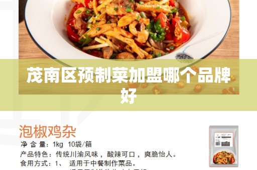 茂南区预制菜加盟哪个品牌好