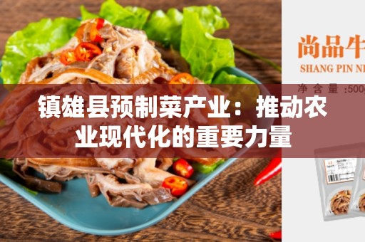 镇雄县预制菜产业：推动农业现代化的重要力量