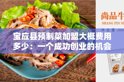 宝应县预制菜加盟大概费用多少：一个成功创业的机会