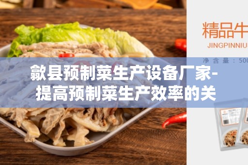 歙县预制菜生产设备厂家- 提高预制菜生产效率的关键