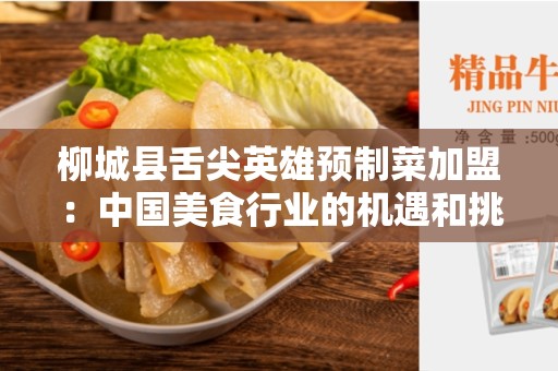 柳城县舌尖英雄预制菜加盟：中国美食行业的机遇和挑战