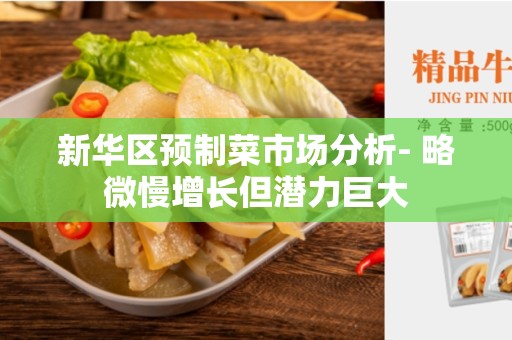新华区预制菜市场分析- 略微慢增长但潜力巨大