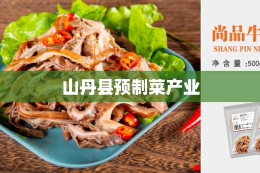 山丹县预制菜产业