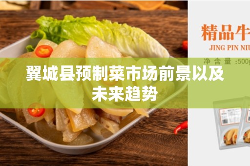 翼城县预制菜市场前景以及未来趋势