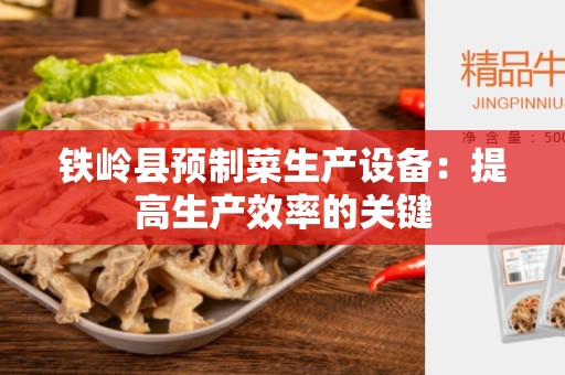 铁岭县预制菜生产设备：提高生产效率的关键