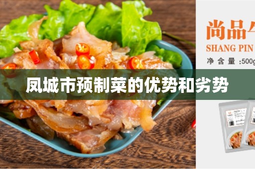 凤城市预制菜的优势和劣势