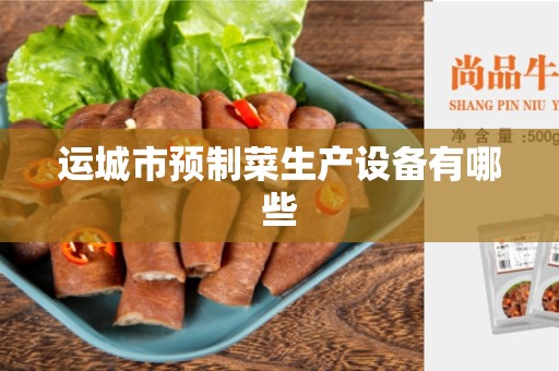 运城市预制菜生产设备有哪些
