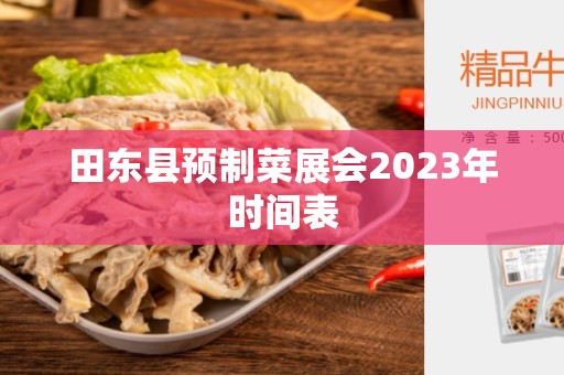 田东县预制菜展会2023年时间表