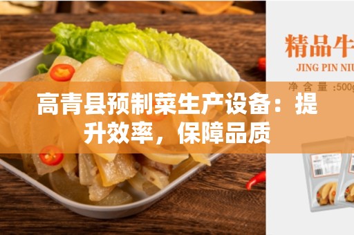 高青县预制菜生产设备：提升效率，保障品质