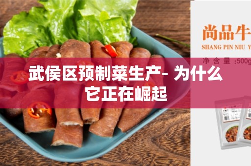 武侯区预制菜生产- 为什么它正在崛起
