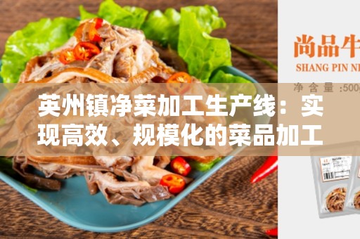 英州镇净菜加工生产线：实现高效、规模化的菜品加工