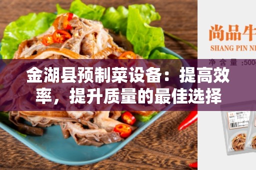 金湖县预制菜设备：提高效率，提升质量的最佳选择