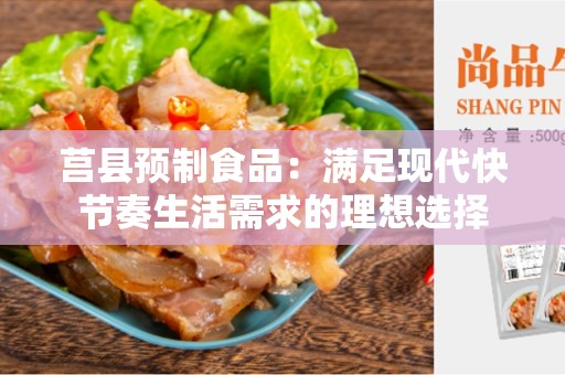 莒县预制食品：满足现代快节奏生活需求的理想选择
