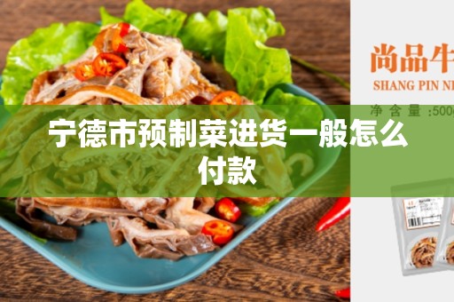 宁德市预制菜进货一般怎么付款
